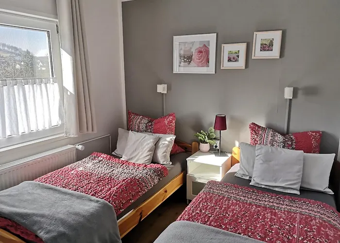 Apartman Diemelseeholiday Am Mit Balkon